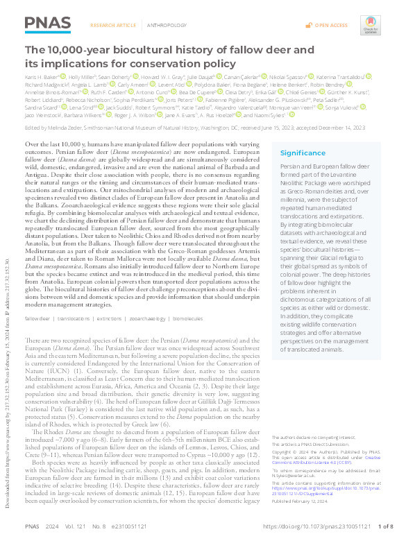 The 10,000-year biocultural history of fallow deer and its implications for conservation policy Thumbnail