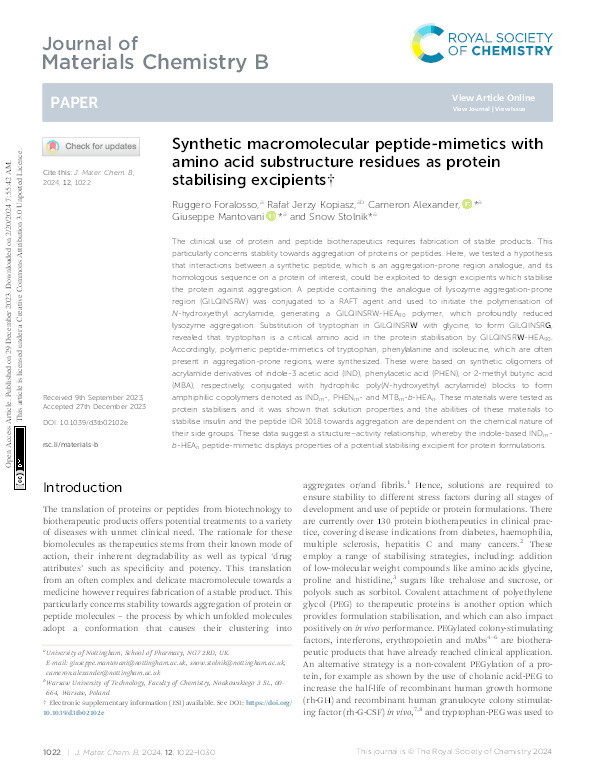 Synthetic macromolecular peptide-mimetics with amino acid substructure residues as protein stabilising excipients Thumbnail