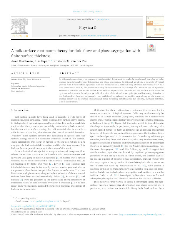 A bulk-surface continuum theory for fluid flows and phase segregation with finite surface thickness Thumbnail