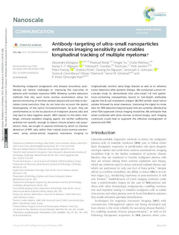 Antibody-targeting of ultra-small nanoparticles enhances imaging sensitivity and enables longitudinal tracking of multiple myeloma Thumbnail