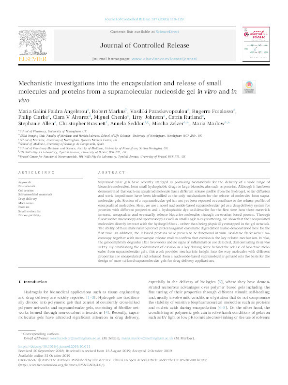 Mechanistic investigations into the encapsulation and release of small molecules and proteins from a supramolecular nucleoside gel in vitro and in vivo Thumbnail