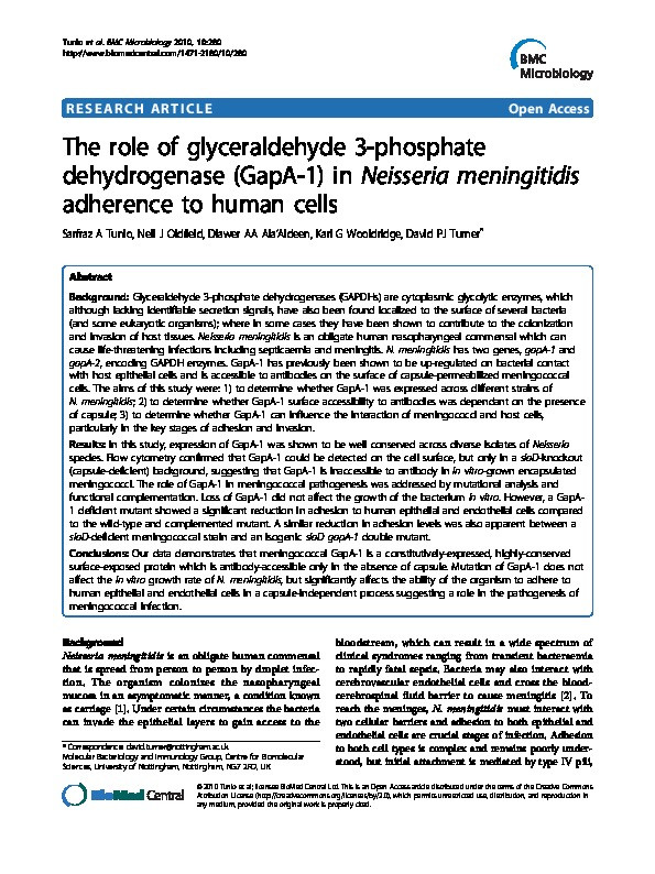 The role of glyceraldehyde 3-phosphate dehydrogenase (GapA-1) in Neisseria meningitidis adherence to human cells Thumbnail