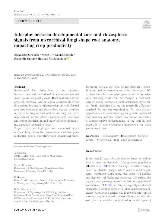 Interplay between developmental cues and rhizosphere signals from mycorrhizal fungi shape root anatomy, impacting crop productivity Thumbnail