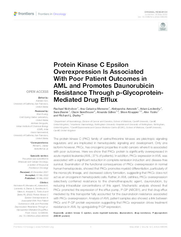 Protein Kinase C Epsilon Overexpression Is Associated With Poor Patient Outcomes in AML and Promotes Daunorubicin Resistance Through p-Glycoprotein-Mediated Drug Efflux Thumbnail