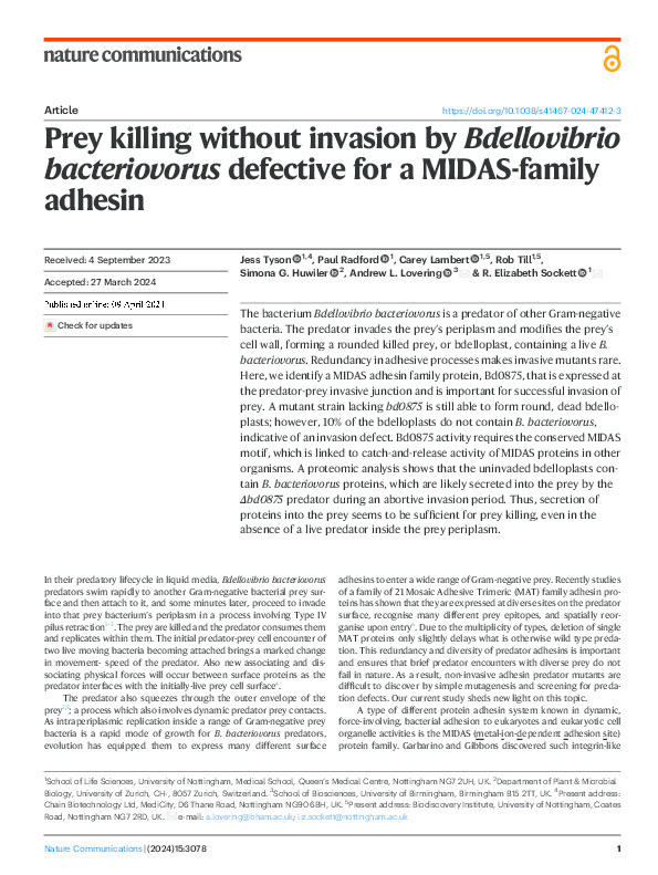 Prey killing without invasion by Bdellovibrio bacteriovorus defective for a MIDAS-family Thumbnail