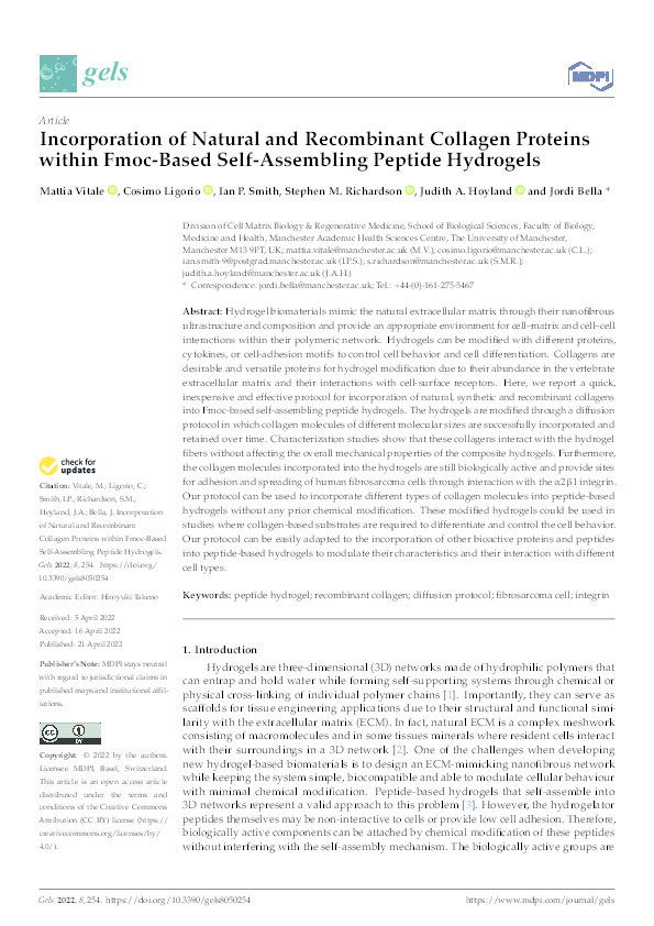 Incorporation of Natural and Recombinant Collagen Proteins within Fmoc-Based Self-Assembling Peptide Hydrogels Thumbnail