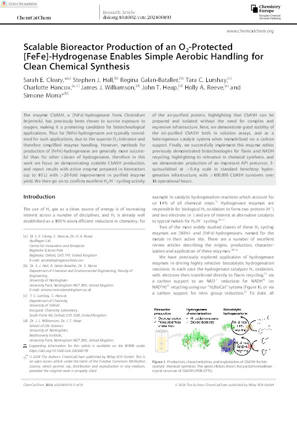 Scalable bioreactor production of an O2‐protected [FeFe]‐hydrogenase enables simple aerobic handling for clean chemical synthesis Thumbnail