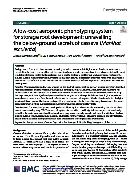 A low-cost aeroponic phenotyping system for storage root development: Unravelling the below-ground secrets of cassava (Manihot esculenta) Thumbnail