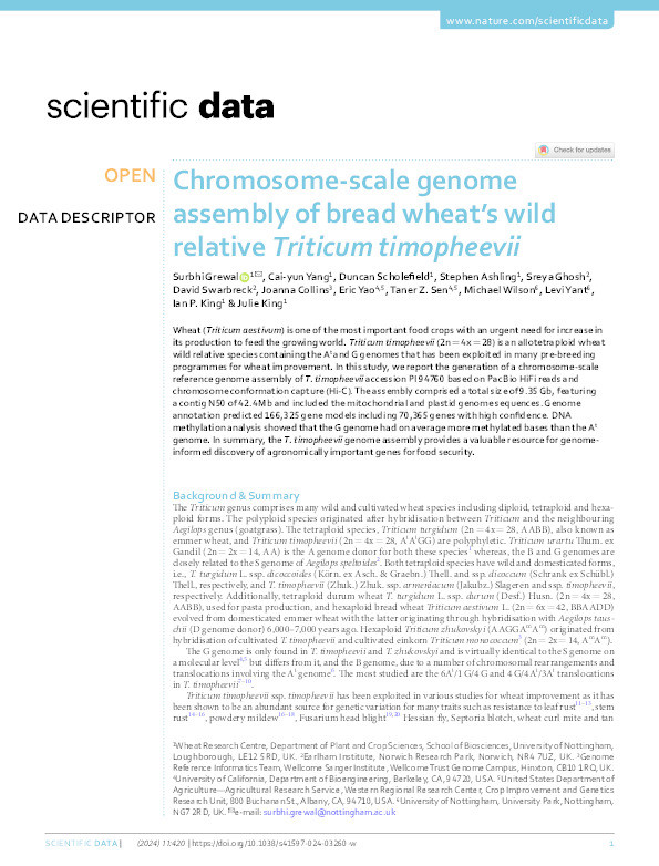 Chromosome-scale genome assembly of bread wheat’s wild relative Triticum timopheevii Thumbnail