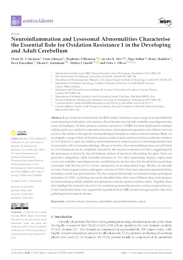 Neuroinflammation and Lysosomal Abnormalities Characterise the Essential Role for Oxidation Resistance 1 in the Developing and Adult Cerebellum Thumbnail