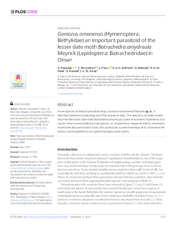 Goniozus omanensis (Hymenoptera: Bethylidae) an important parasitoid of the lesser date moth Batrachedra amydraula Meyrick (Lepidoptera: Batrachedridae) in Oman Thumbnail