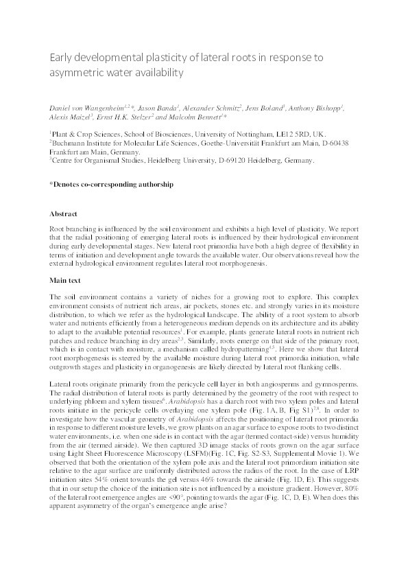 Early developmental plasticity of lateral roots in response to asymmetric water availability Thumbnail