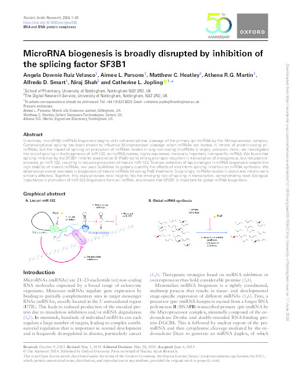 MicroRNA biogenesis is broadly disrupted by inhibition of the splicing factor SF3B1 Thumbnail