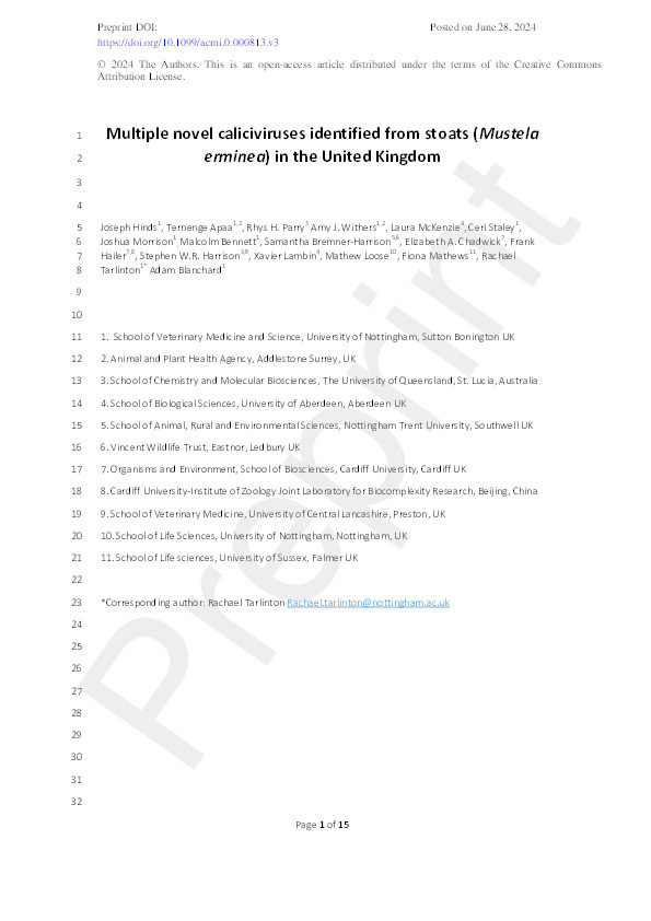 Version 3: Multiple novel caliciviruses identified from stoats (Mustela erminea) in the United Kingdom Thumbnail