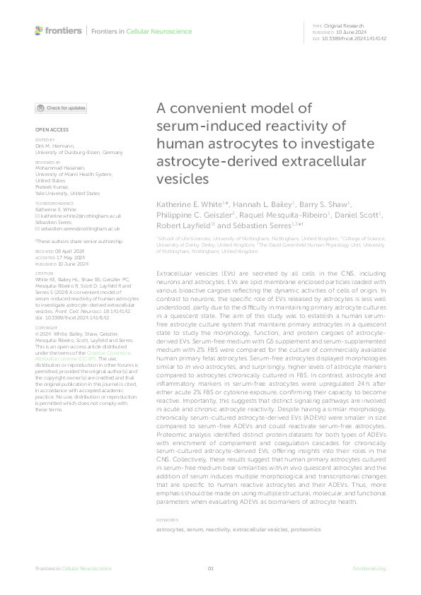 A convenient model of serum-induced reactivity of human astrocytes to investigate astrocyte-derived extracellular vesicles Thumbnail