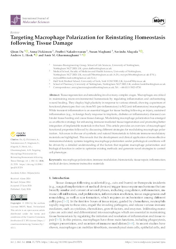 Targeting Macrophage Polarization for Reinstating Homeostasis following Tissue Damage Thumbnail