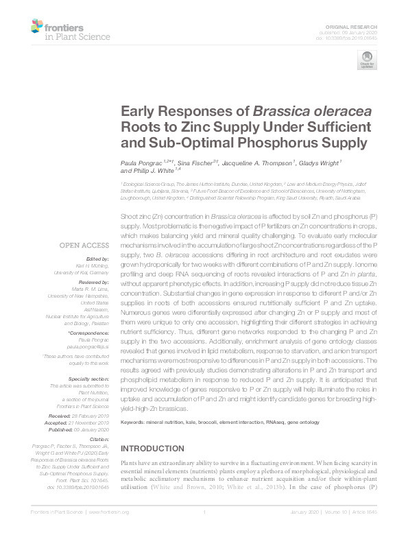 Early Responses of Brassica oleracea Roots to Zinc Supply Under Sufficient and Sub-Optimal Phosphorus Supply Thumbnail