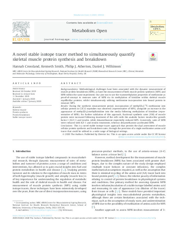 A novel stable isotope tracer method to simultaneously quantify skeletal muscle protein synthesis and breakdown Thumbnail