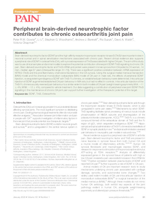 Peripheral brain-derived neurotrophic factor contributes to chronic osteoarthritis joint pain Thumbnail