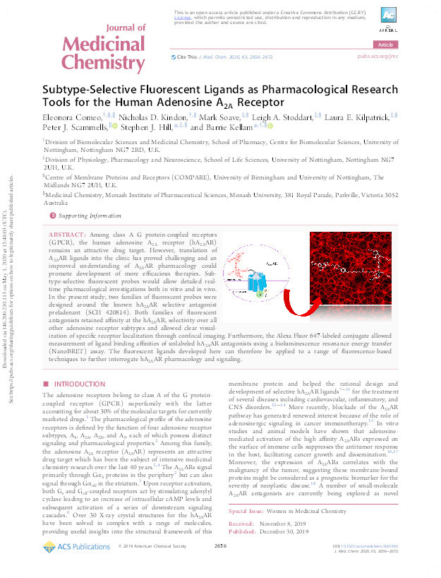 Subtype-Selective Fluorescent Ligands as Pharmacological Research Tools for the Human Adenosine A2A Receptor Thumbnail