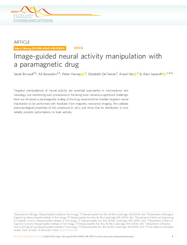 Image-guided neural activity manipulation with a paramagnetic drug Thumbnail