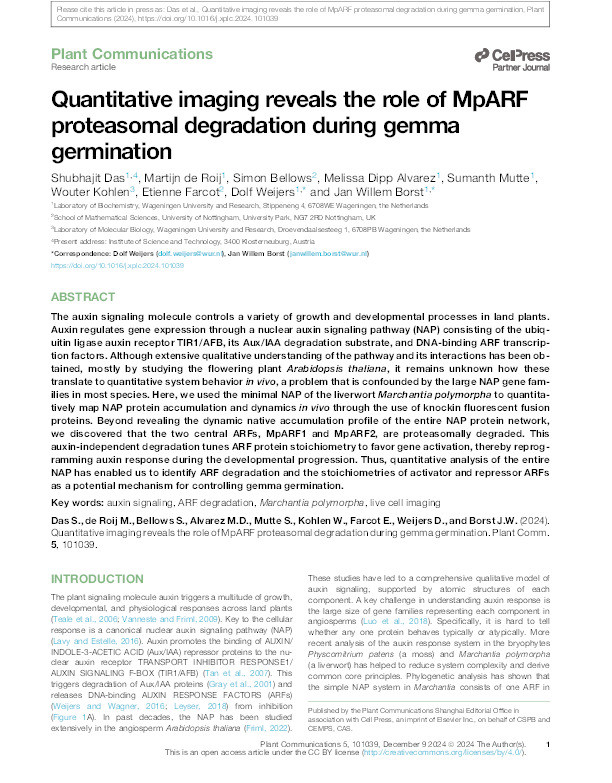 Quantitative imaging reveals the role of MpARF proteasomal degradation during gemma germination Thumbnail