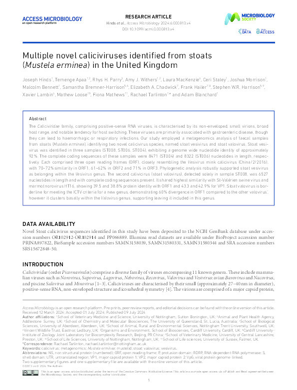 Multiple novel caliciviruses identified from stoats (Mustela erminea) in the United Kingdom Thumbnail