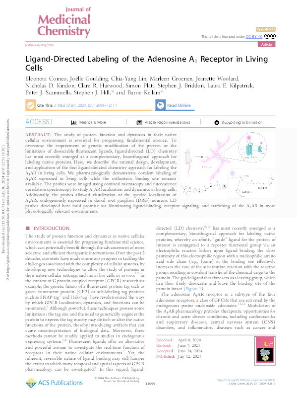 Ligand-Directed Labeling of the Adenosine A1 Receptor in Living Cells Thumbnail