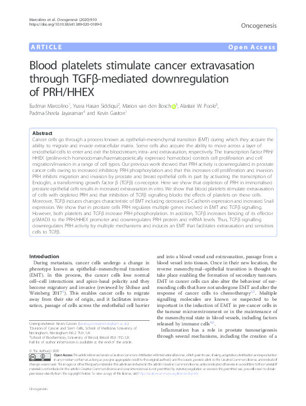 Blood platelets stimulate cancer extravasation through TGFβ-mediated downregulation of PRH/HHEX Thumbnail