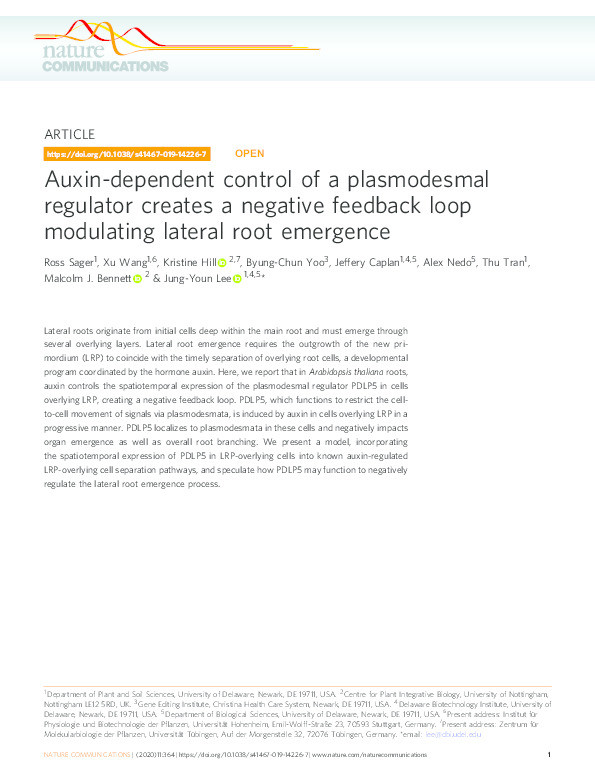 Auxin-dependent control of a plasmodesmal regulator creates a negative feedback loop modulating lateral root emergence Thumbnail