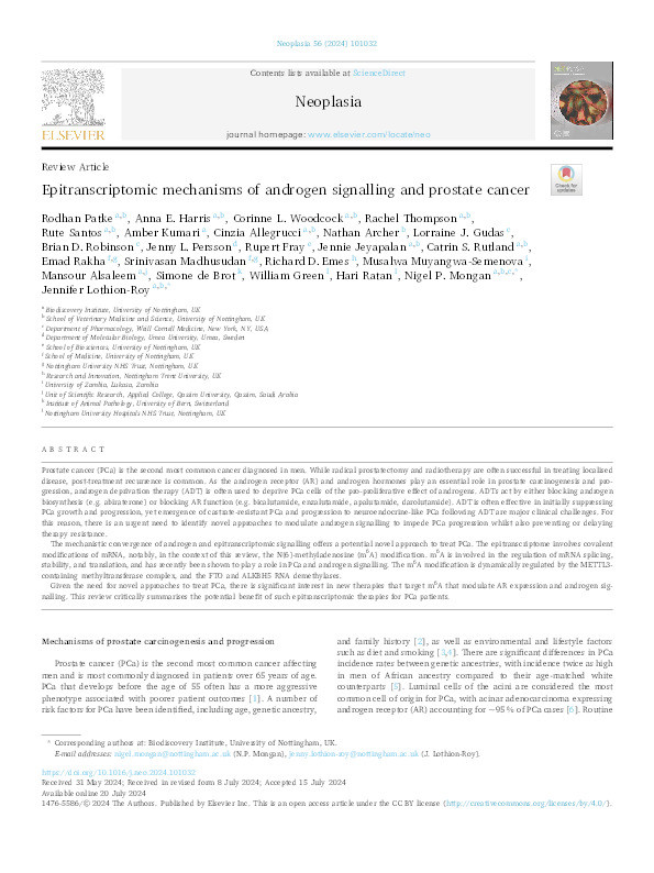 Epitranscriptomic mechanisms of androgen signalling and prostate cancer Thumbnail