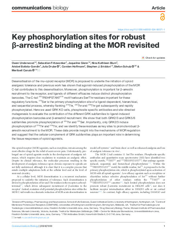 Key phosphorylation sites for robust β-arrestin2 binding at the MOR revisited Thumbnail