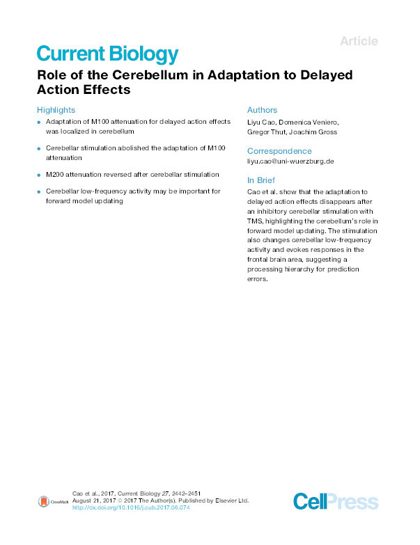 Role of the Cerebellum in Adaptation to Delayed Action Effects Thumbnail