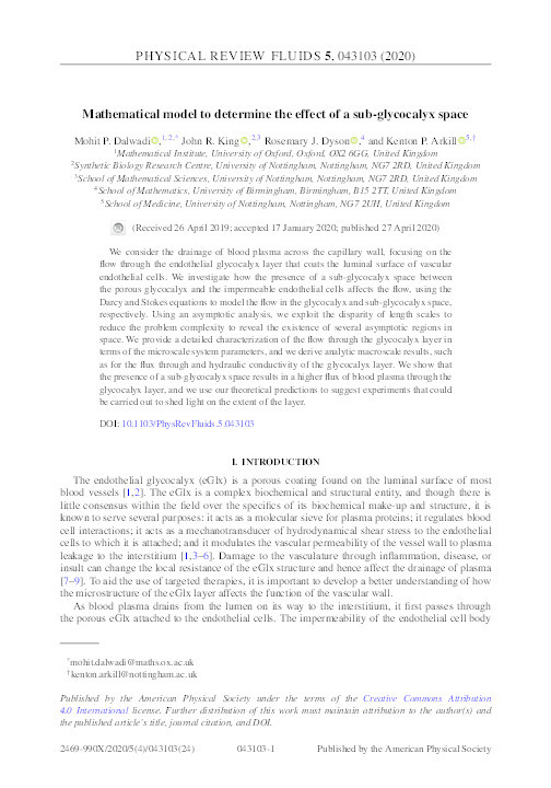 Mathematical model to determine the effect of a sub-glycocalyx space Thumbnail