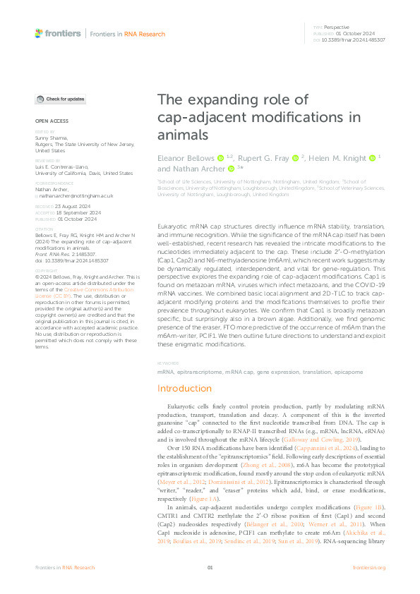 The expanding role of cap-adjacent modifications in animals Thumbnail