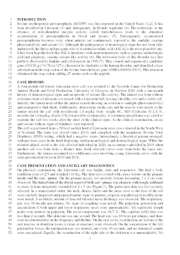 A case of bovine erythropoietic protoporphyria in a female Limousin calf Thumbnail