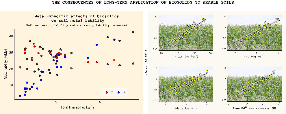 The impact of long-term biosolids application (&gt;100 years) on soil metal dynamics Thumbnail