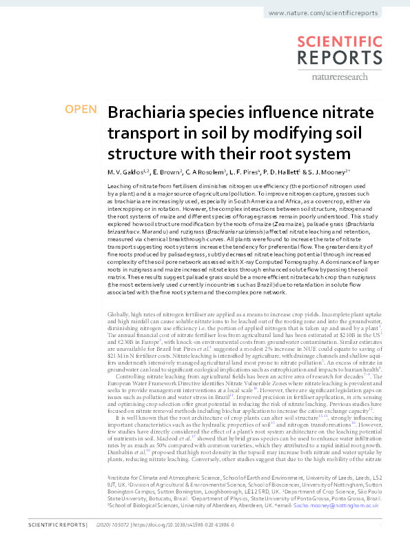 Brachiaria species influence nitrate transport in soil by modifying soil structure with their root system Thumbnail