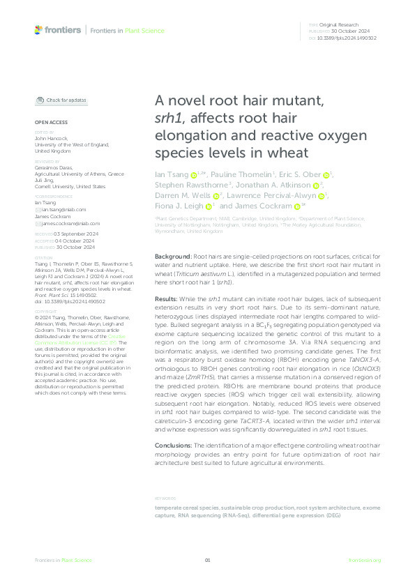 A novel root hair mutant, srh1, affects root hair elongation and reactive oxygen species levels in wheat Thumbnail