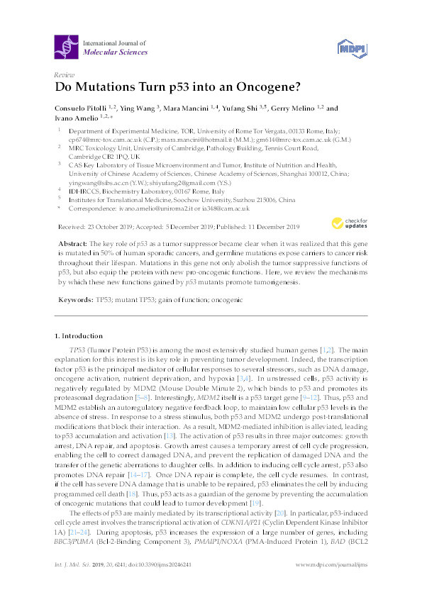 Do Mutations Turn p53 into an Oncogene? Thumbnail