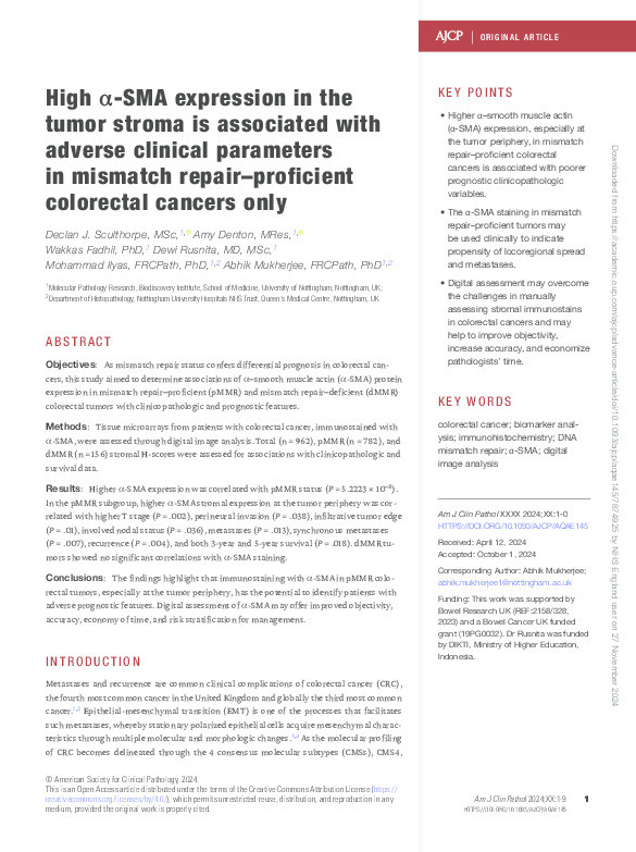 High α-SMA expression in the tumor stroma is associated with adverse clinical parameters in mismatch repair–proficient colorectal cancers only Thumbnail