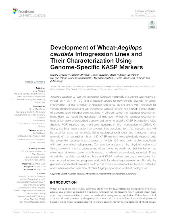 Development of Wheat-Aegilops caudata Introgression Lines and Their Characterization Using Genome-Specific KASP Markers Thumbnail