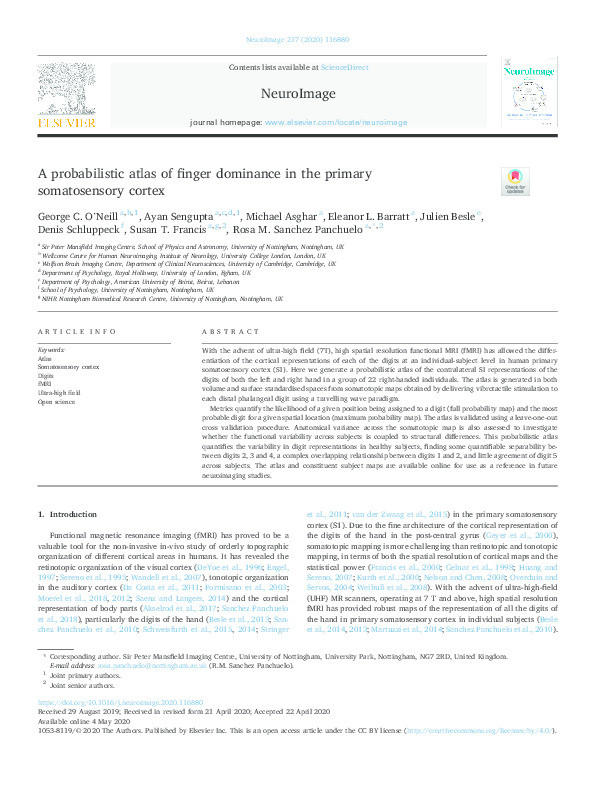 A probabilistic atlas of finger dominance in the primary somatosensory cortex Thumbnail