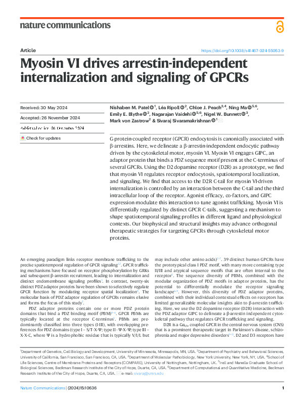 Myosin VI drives arrestin-independent internalization and signaling of GPCRs Thumbnail