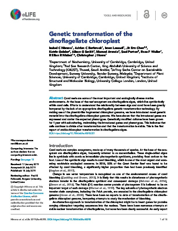 Genetic transformation of the dinoflagellate chloroplast Thumbnail