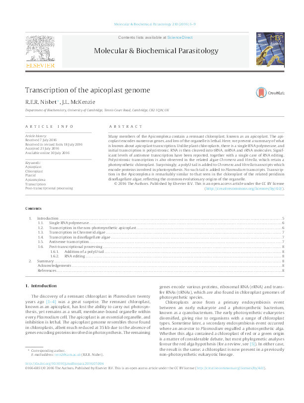 Transcription of the apicoplast genome Thumbnail