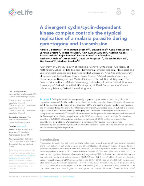 A divergent cyclin/cyclin-dependent kinase complex controls the atypical replication of a malaria parasite during gametogony and transmission Thumbnail