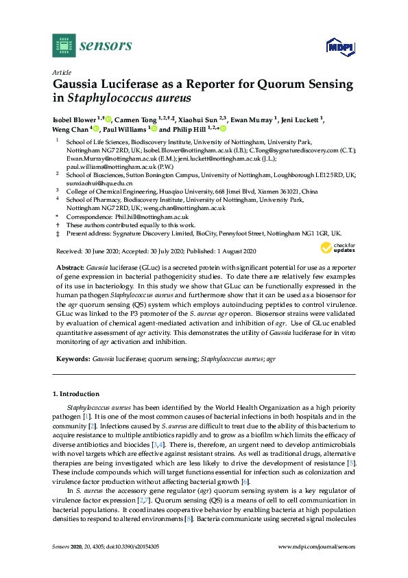 Gaussia luciferase as a reporter for quorum sensing in staphylococcus aureus Thumbnail