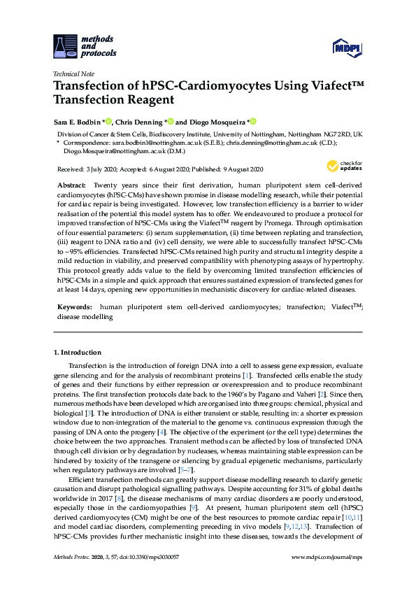 Transfection of hPSC-Cardiomyocytes Using Viafect™ Transfection Reagent Thumbnail