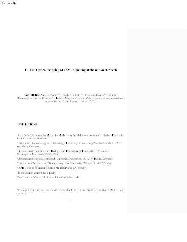 Optical Mapping of cAMP Signaling at the Nanometer Scale Thumbnail